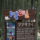 죽림원 이미지
