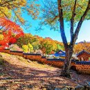 삼보서점 이미지