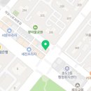 중대형견 유치원/호텔/미용 네발바닥 이미지