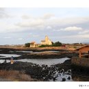 신창싱계물 이미지