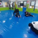 크로스핏 라텔 이미지