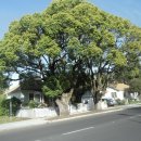 라파농장 이미지