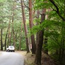 계곡 끝집 이미지