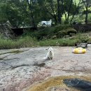 백년펜션 이미지