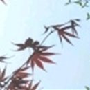 와인치과의원 이미지