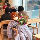 화진장식 | 포항 아우로라 화진해수욕장 대형카페 방문후기