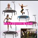 고고점핑다이어트 - 달서구 | 고고점핑다이어트