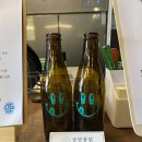 송당퐁당 이미지