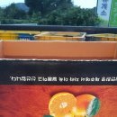선화농원 이미지