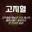4공단로1L-62 | 🍀고지혈증 예방과 건강 에너지 캘러리헬스 알파호프 한 잔이면 충분!