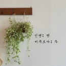 맛집상점 네이버블로그