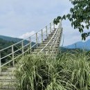 지둔2리 마을회관 | 남양주 수목원 물맑음수목원 아이와 가볼만한곳