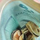 대주유통 - 수영구 | 고메이트 동결건조 간식 급여 후기