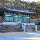 탑골임업