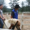 김화여자중학교 이미지