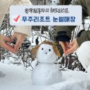 가족호텔 진달래동 | 무주 리조트 썰매장 아이랑 가볼만한곳 시간 위치 주차 총정리