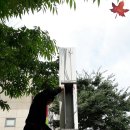 꽉잡는과학교습소