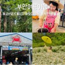 부안농장 | 부안여름여행 변산마실길 샤스타데이지 부안상설시장 맛집