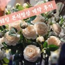 보고또보고비디오 | 웨딩준비. 공군호텔 DVD 본식영상 선택 이유, 계약 비교 최종 먼스필름