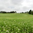 섬띠농장 이미지