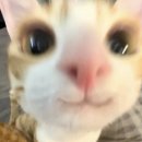 광부의 교육장 | [일상] 24.03.18 ~ 24.03.24 수정할 수 있는 마음