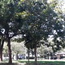 신가공원 이미지