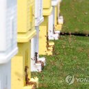 영아유통 이미지