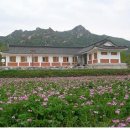 송월민박 이미지