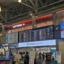 피츠네일 | 나트랑 깜란 공항 픽업해준 루나 스파&네일 후기(내돈내산)