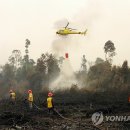 싸이공연 취소에 관해 문제제기 있는데요..기사에서 말한 산불문제 맞아요... 이미지