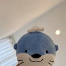 범골로54번길 | [경남 진주] 혁신도시 안아프고 빠르게 끝나는 왁싱 잘하는 곳 | 르노아왁싱앤래쉬 진주점