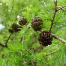 이민준한의원 이미지