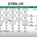 힐링요가(야간반) 이미지