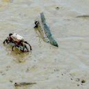 남도1번지 이미지