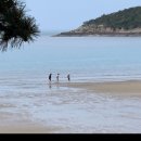 시에그린 한국시화박물관 이미지