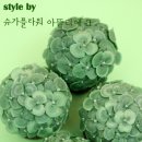 아베크플라워 이미지