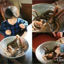 파주맛고을낙지마당 이미지