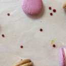 봉스마켓 이미지