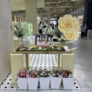 메이메디 이미지