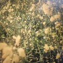 제주 보고정 투어 | 제주도택시투어 가격 착해서 편했던 우정 여행 후기