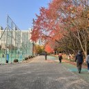 화수공원 이미지