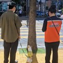 댕댕이네 이미지