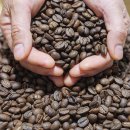 맘씨좋은커피 이미지