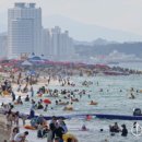 경포해수욕장 강원일보