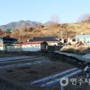 백신2리 이미지