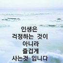 웃으며 살자 이미지