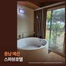 라이프스파랜드 | 덕산온천탕에서 천연온천 즐기는 스파뷰호텔, 가족탕 있는 사랑채 다녀온 썰