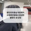 헤어단장