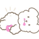 호텔 호피폴라 이미지