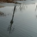 명지시장 이미지